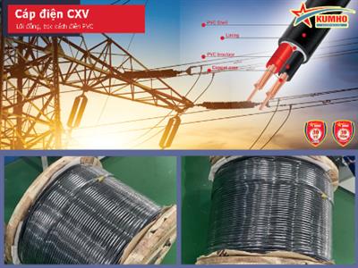 Cáp điện lực CXV 2x6.0 - Cu/XLPE/PVC - 0,6/1KV - Kumho