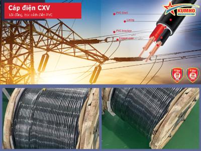 Cáp điện lực CXV 2x4.0 - Cu/XLPE/PVC - 0,6/1KV - Kumho