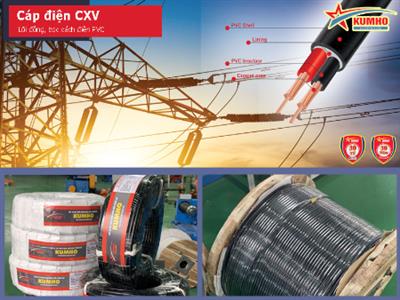 Cáp điện lực CXV 2x2.5 - Cu/XLPE/PVC - 0,6/1KV - Kumho