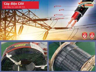 Cáp điện lực CXV 2x1.5 - Cu/XLPE/PVC - 0.6/1KV - Kumho