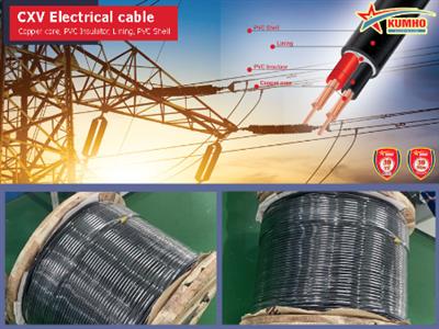 CXV Electrical cable 2x6.0 - Cu/XLPE/PVC - 0,6/1KV - Kumho