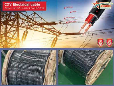 CXV Electrical cable 2x4.0 - Cu/XLPE/PVC - 0,6/1KV - Kumho