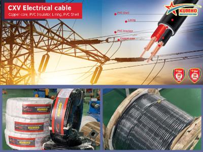 CXV Electrical cable 2x2.5 - Cu/XLPE/PVC - 0,6/1KV - Kumho