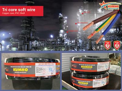 Tri core soft wire VCmt 3x6.0 - Cu/PVC/PVC - 400/750V - Kumho