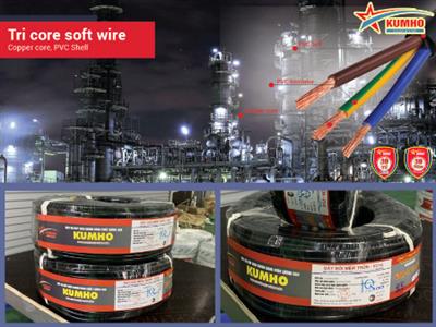 Tri core soft wire VCmt 3x4.0 - Cu/PVC/PVC - 400/750V - Kumho