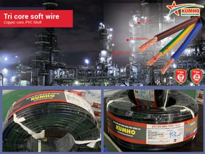 Tri core soft wire VCmt 3 x 2.5 - Cu/PVC/PVC - 400/750V - Kumho